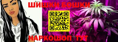 гашик Будённовск