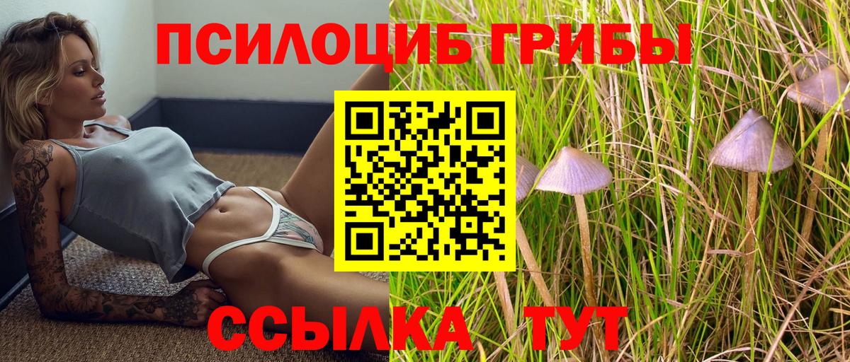 Псилоцибиновые грибы GOLDEN TEACHER Майкоп